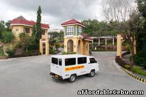 5th picture of CAMELLA For Sale in Cebu, Philippines