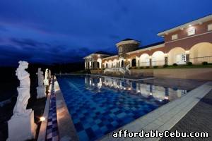 4th picture of CAMELLA For Sale in Cebu, Philippines