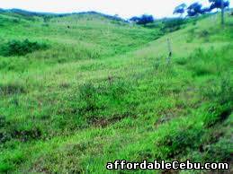 2nd picture of AFFORDABLE LOT ONLY For Sale in Cebu, Philippines