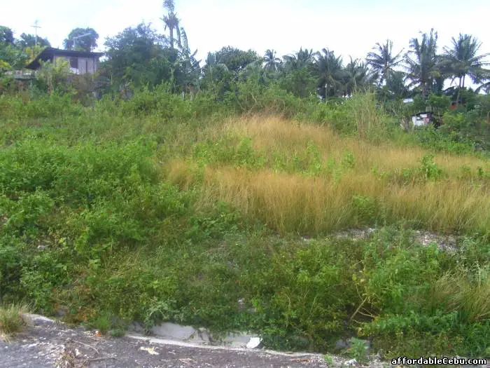 4th picture of QUIT PARDO LOT For Sale in Cebu, Philippines