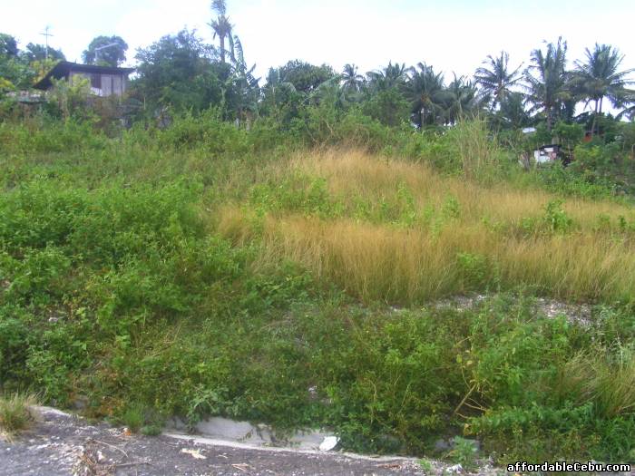 4th picture of QUIT PARDO LOT For Sale in Cebu, Philippines