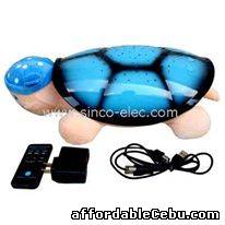 4th picture of INTELLIGENT TURTLE! (WHOLESALE ONLY) For Sale in Cebu, Philippines
