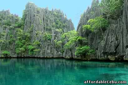 1st picture of PALAWAN – PUERTO PRINCESA PACKAGE For Rent in Cebu, Philippines
