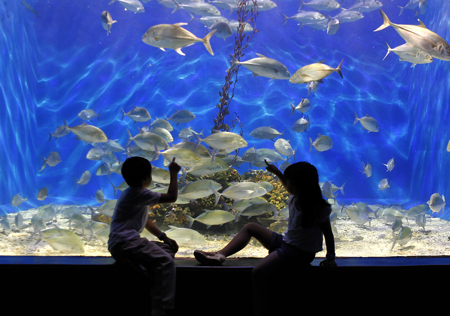 2nd picture of FR : CEBU - MANILA TOUR PACKAGE W/FREE MANILA OCEAN PARK For Sale in Cebu, Philippines