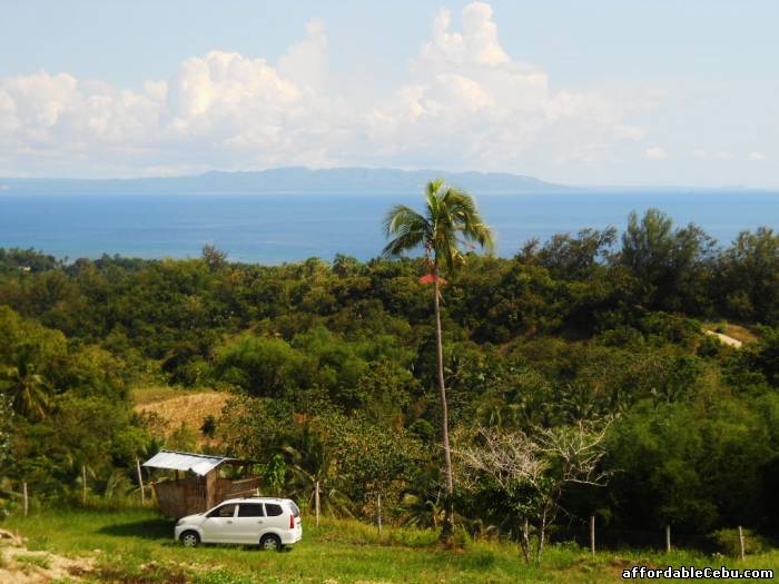 2nd picture of LOT IN BUG OT For Sale in Cebu, Philippines