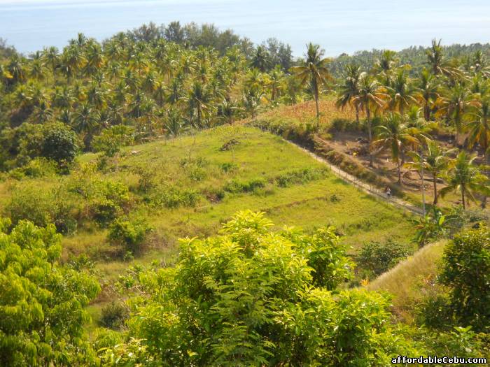 1st picture of LOT IN BUG OT For Sale in Cebu, Philippines