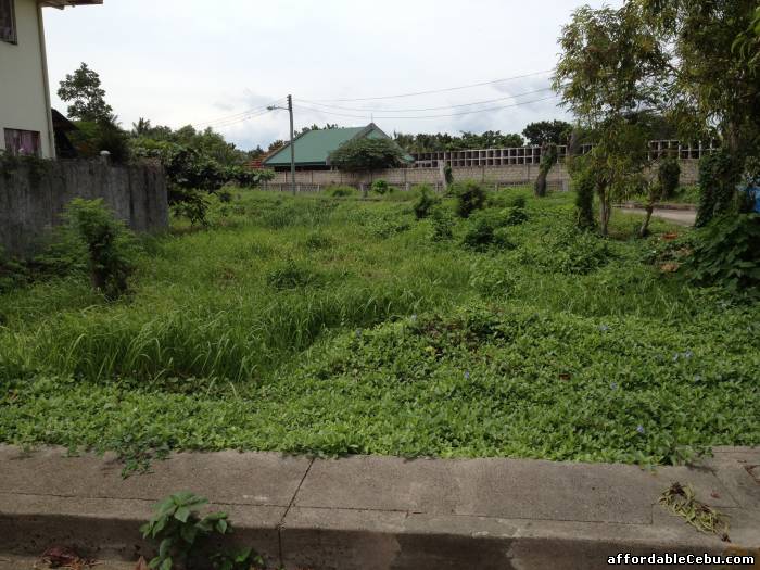 1st picture of CHEAPEST LOT FOR SALE IN CORDOVA, CEBU For Sale in Cebu, Philippines