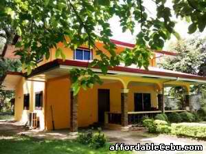 1st picture of House for sale in Marigondon Mactan near beaches,big lot area For Sale in Cebu, Philippines