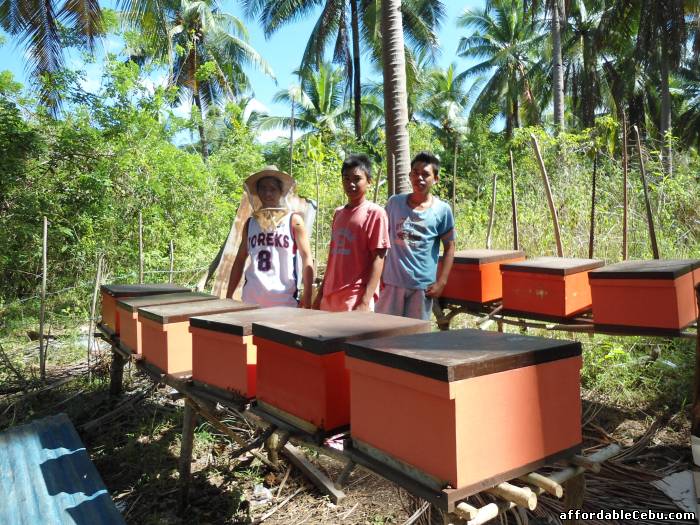 1st picture of Beekeeping Supplies For Sale in Cebu, Philippines