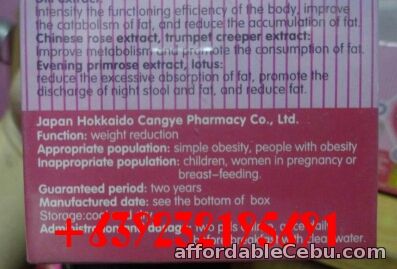 4th picture of Original Hokkaido Slimming pills For Sale in Cebu, Philippines