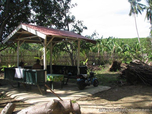 2nd picture of Farm Lot in Danao City For Sale in Cebu, Philippines