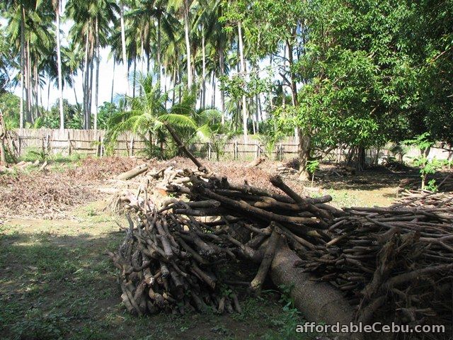 1st picture of Farm Lot in Danao City For Sale in Cebu, Philippines