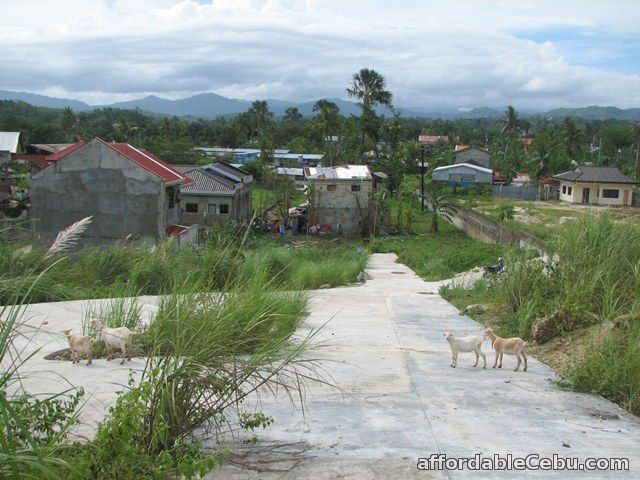 3rd picture of 141sqm Lot in Yati, Lilo-an, Cebu For Sale in Cebu, Philippines