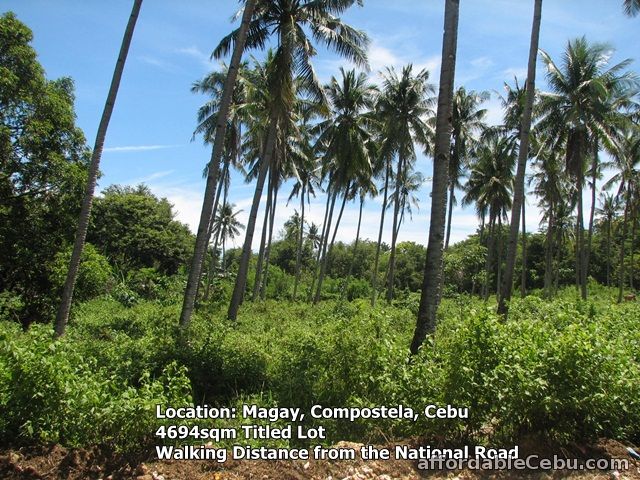 2nd picture of 4694sqm Compostela Lot walking distance from the National Road Near Beach For Sale in Cebu, Philippines