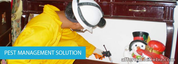 2nd picture of Pest Control Services | Pixa Company Offer in Cebu, Philippines