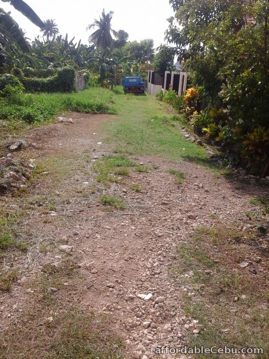 5th picture of RUSH SALE LOT AT LIPATA, MINGLANILLA, CEBU For Sale in Cebu, Philippines