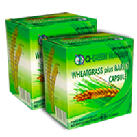 1st picture of QGREEN NUTRICAPS  WHEAT GRASS + BARLEY IN CAPSULE For Sale in Cebu, Philippines