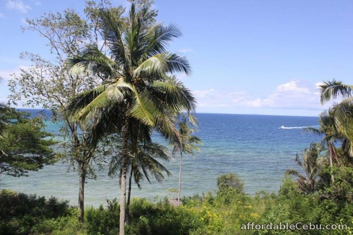 2nd picture of Alcoy Proper Overlooking beach lot for sale For Sale in Cebu, Philippines
