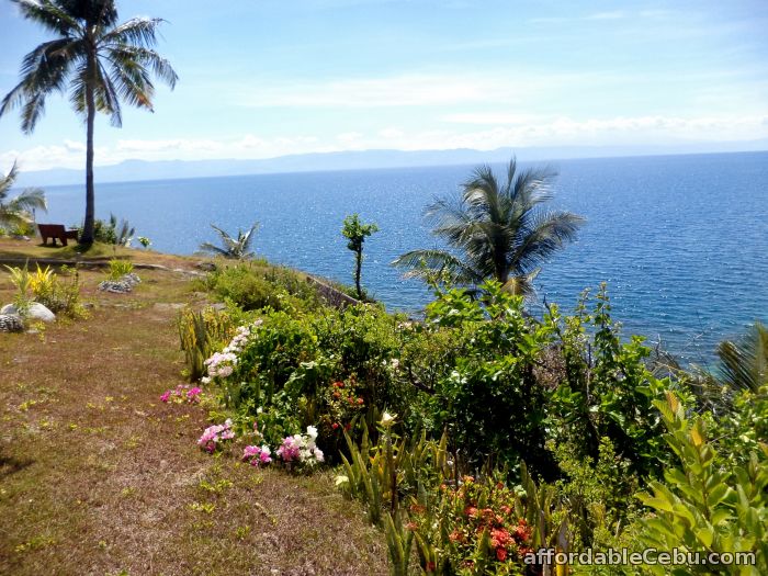 2nd picture of 3.5 Hectare BEACH FRONT LOT CEBU P1500 per sqm For Sale in Cebu, Philippines