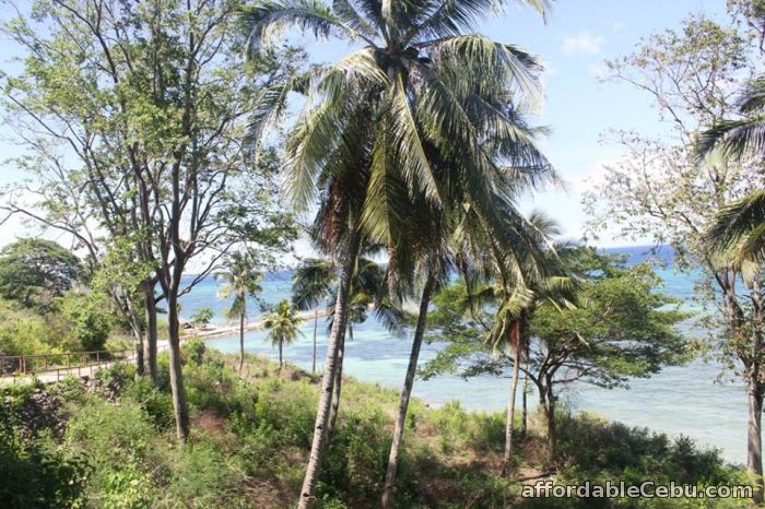 1st picture of Alcoy Proper Overlooking beach lot for sale For Sale in Cebu, Philippines