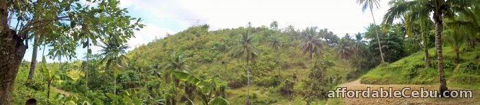 2nd picture of 24,083 sqm (2.40 hectares) Lot Aloguinsan Cebu for P500K P20.76 per sqm For Sale in Cebu, Philippines
