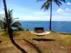 3.5 Hectare BEACH FRONT LOT CEBU P1500 per sqm