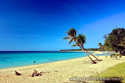 3rd picture of Tour Packages All-In Offer in Cebu, Philippines