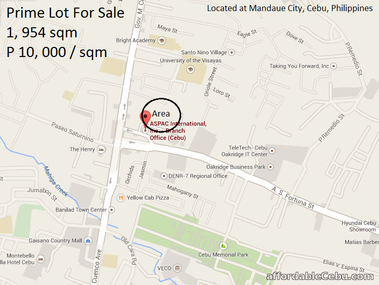 1st picture of Prime Lot for Development for sale at Mandaue City, Cebu, Philippines For Sale in Cebu, Philippines