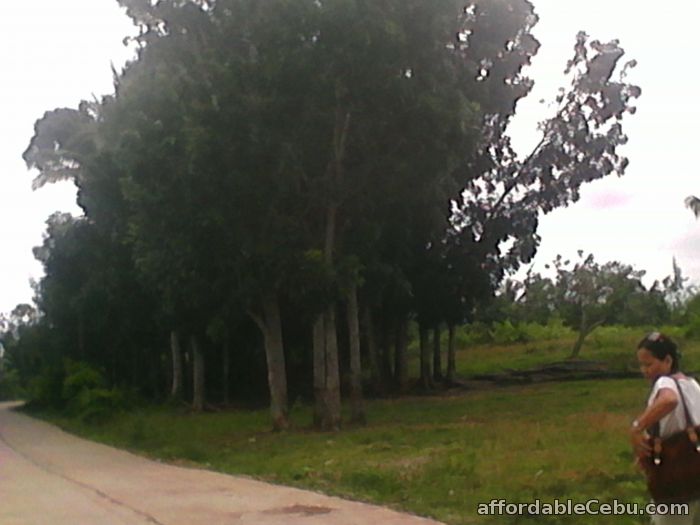 1st picture of lot for sale For Sale in Cebu, Philippines