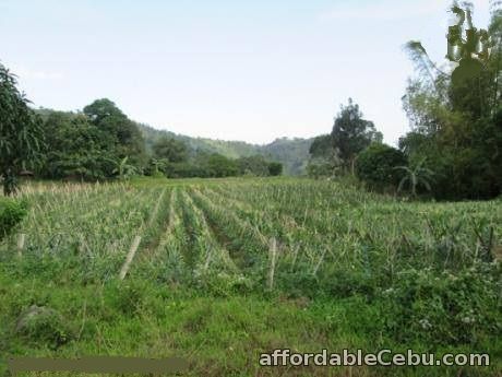 1st picture of Titled Farm/Agricultural Land located For Sale Badian, Cebu near Kawasan Falls For Sale in Cebu, Philippines