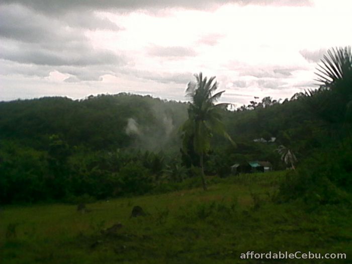 2nd picture of 5 hectares lot for sale @55/sqmtr. For Sale in Cebu, Philippines