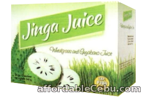 1st picture of Jinga Juice Guyabano/Soursop for Cancer Prevention For Sale in Cebu, Philippines