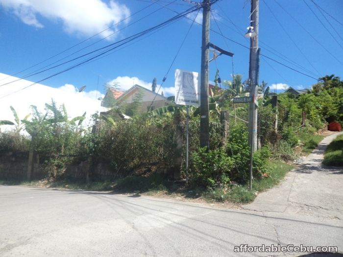 2nd picture of 300 sqm lot for sale in consolacion For Sale in Cebu, Philippines