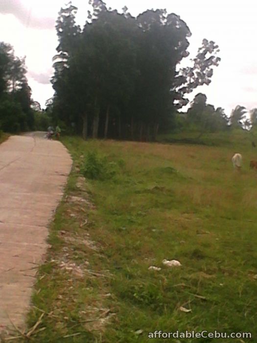 1st picture of 3.2 hectares lot for sale For Sale in Cebu, Philippines