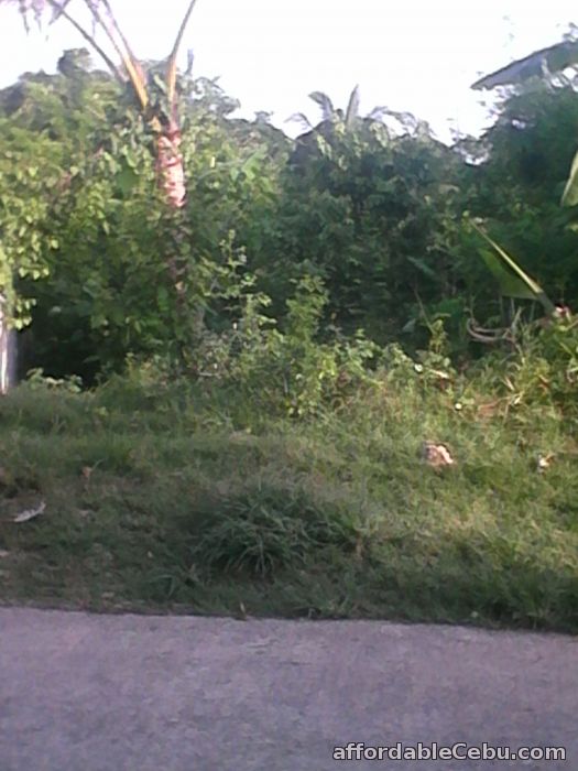 2nd picture of Residential lots for sale For Sale in Cebu, Philippines