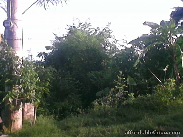 1st picture of Residential lots for sale For Sale in Cebu, Philippines