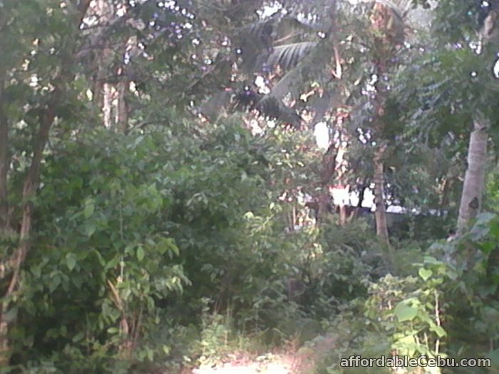 4th picture of Residential lots for sale For Sale in Cebu, Philippines