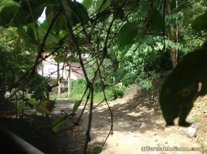 4th picture of Lot For Sale in Talamban, Cebu City, Philippines For Sale in Cebu, Philippines
