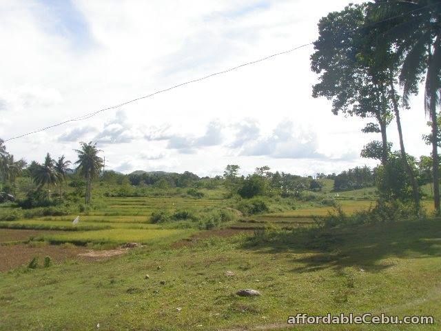 2nd picture of Farm Lot For Sale in Ubay, Bohol For Sale in Cebu, Philippines