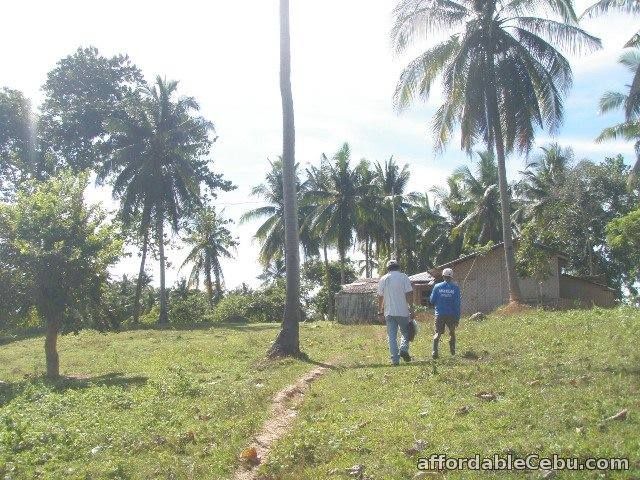 3rd picture of Farm Lot For Sale in Ubay, Bohol For Sale in Cebu, Philippines