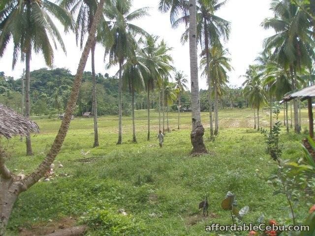 5th picture of 48,684sqm Farm and Residential Lot in Ubay,Bohol For Sale in Cebu, Philippines