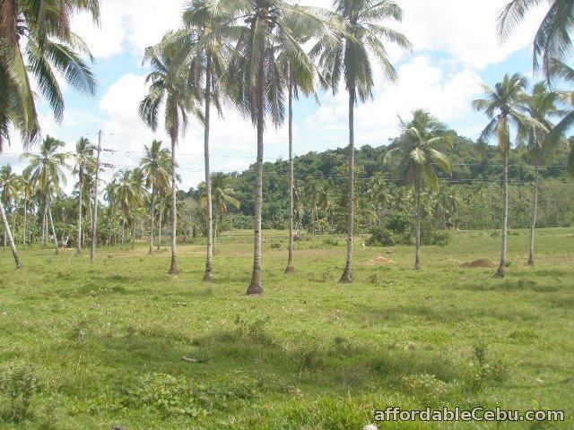 2nd picture of 48,684sqm Farm and Residential Lot in Ubay,Bohol For Sale in Cebu, Philippines