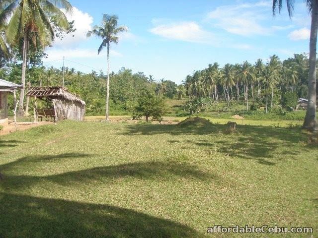 4th picture of Farm Lot For Sale in Ubay, Bohol For Sale in Cebu, Philippines