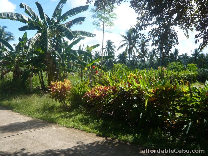 2nd picture of Camotes house and lot for sale For Sale in Cebu, Philippines