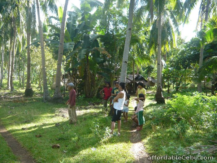 2nd picture of Lot in Camotes Cebu For Sale in Cebu, Philippines