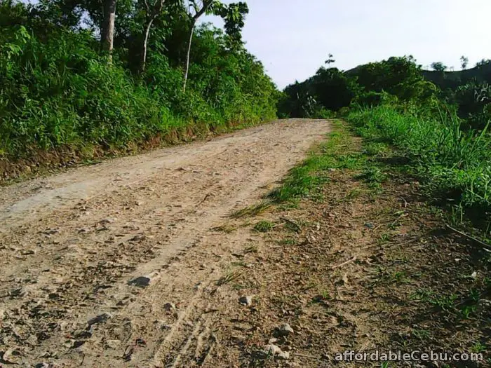 2nd picture of pinamungahan agricultural land For Sale in Cebu, Philippines