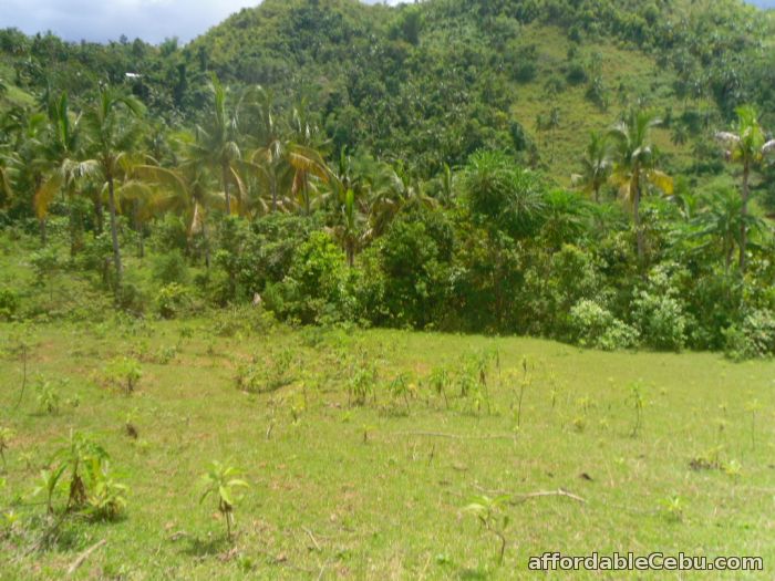 2nd picture of agricultural lot for sale For Sale in Cebu, Philippines