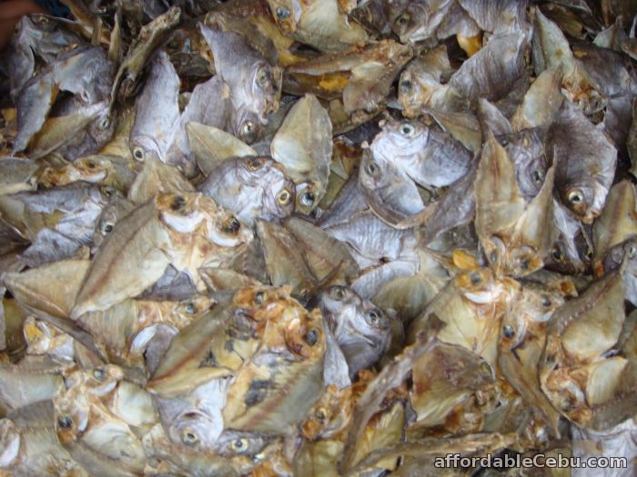 4th picture of BANTAYAN DRIED FISH For Sale in Cebu, Philippines