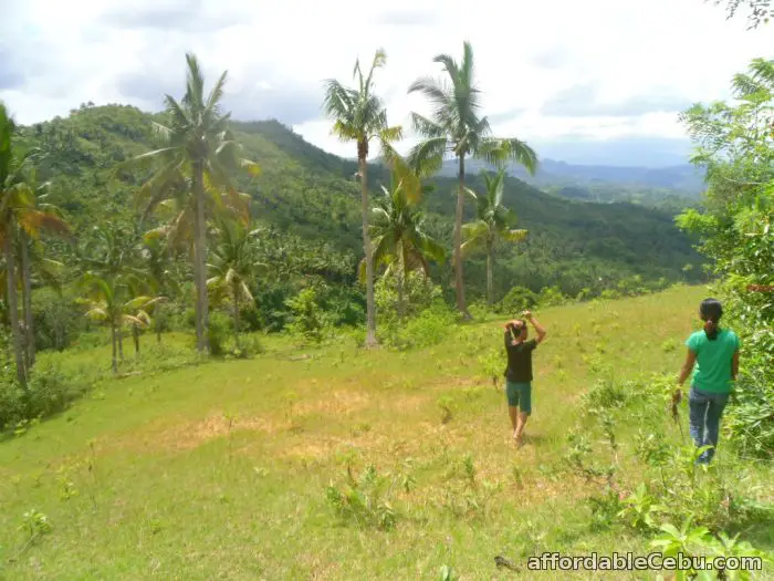 1st picture of agricultural lot for sale For Sale in Cebu, Philippines