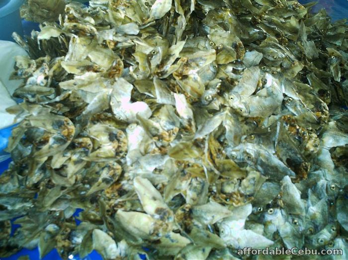 1st picture of BANTAYAN DRIED FISH For Sale in Cebu, Philippines